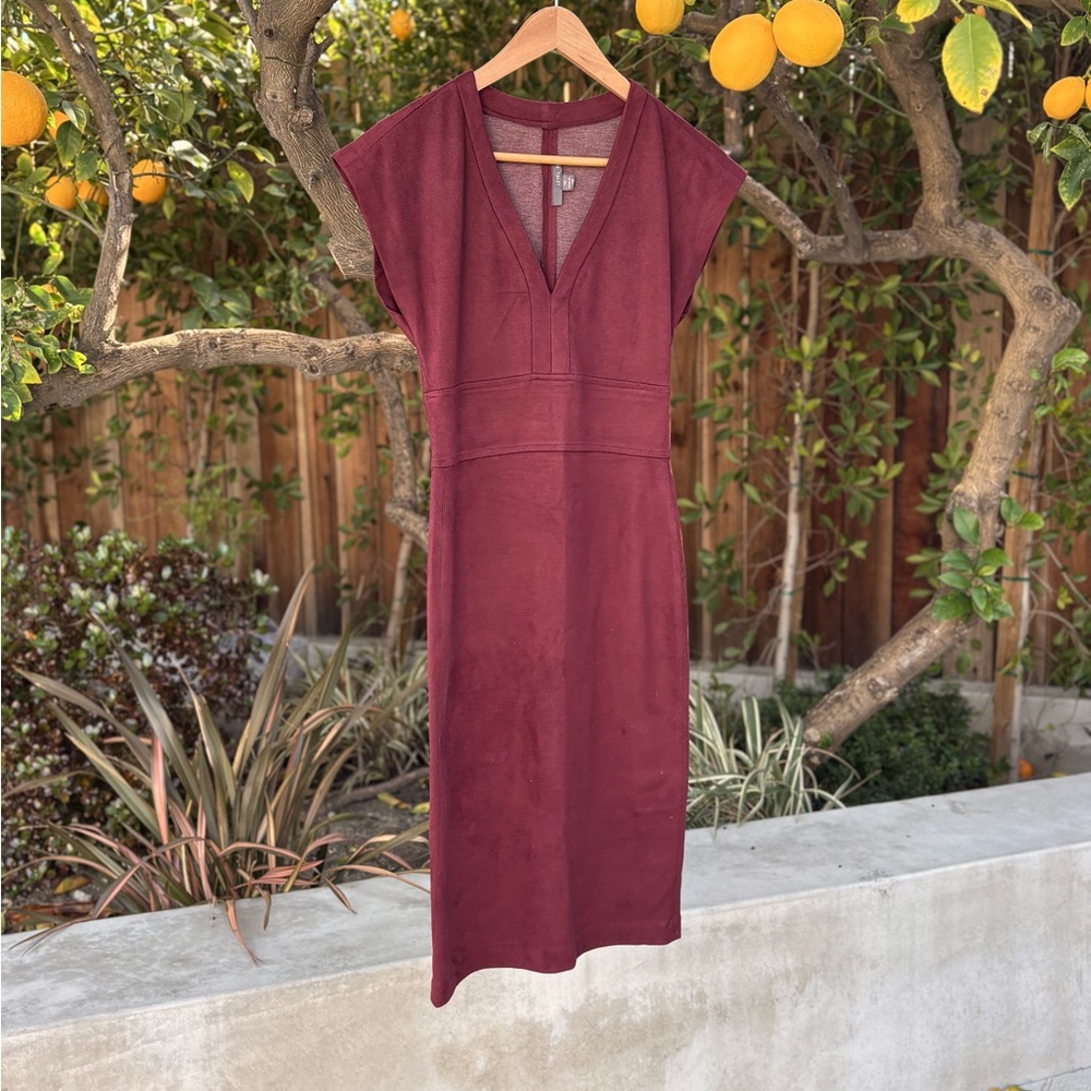 Level 99 Maroon Dress